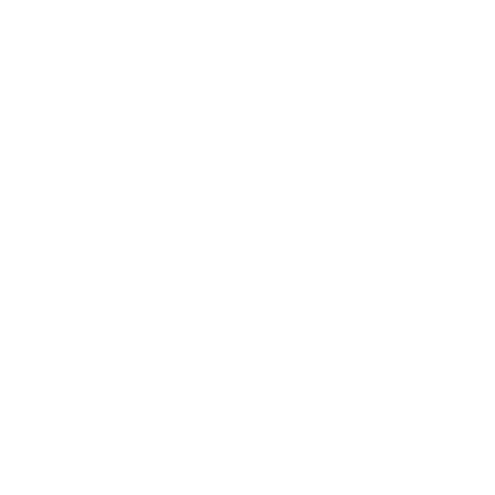 Logo white transparent